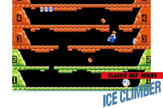 Image n° 1 - screenshots  : Ice Climber